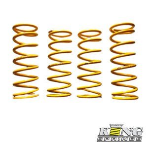 KING Coil SPRINGS RANGE ROVER 1971-1994 ( Excl air suspensions )- 30MM Lift