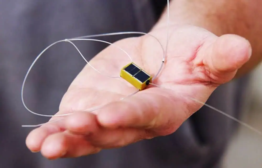 Exploring the Benefits of GPS Tracking Equipment for Ornithologists and Bird Enthusiasts